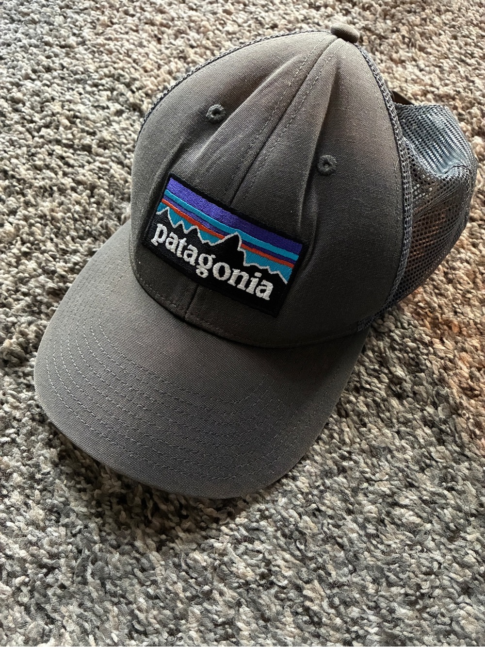 Patagonia Gray Men’s Hat